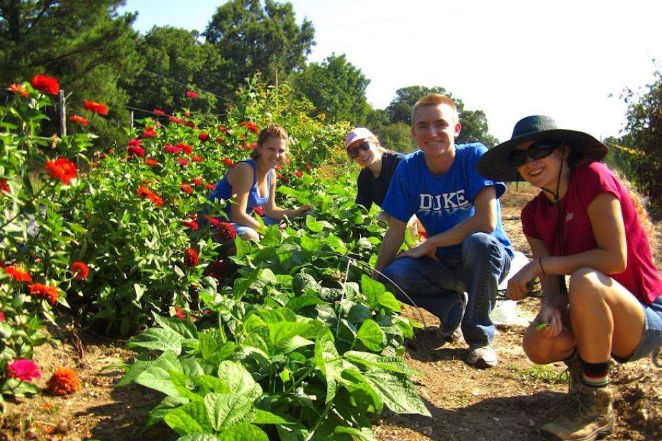 photo of students working at Duke Campus Farm