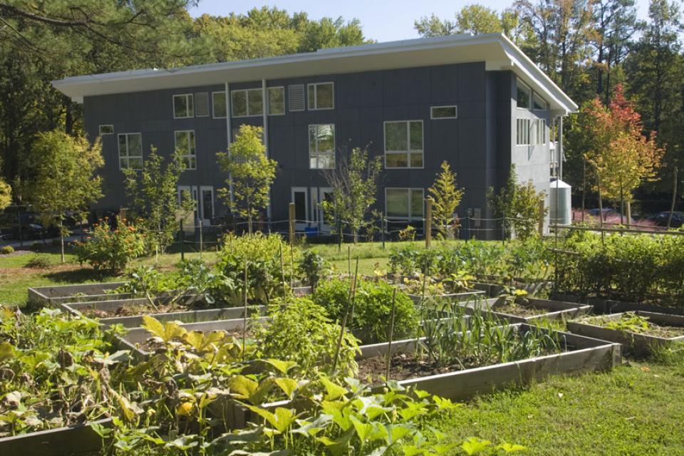 photo of Smart Home garden