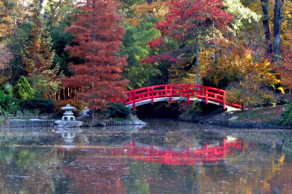photo of Duke Gardens pond